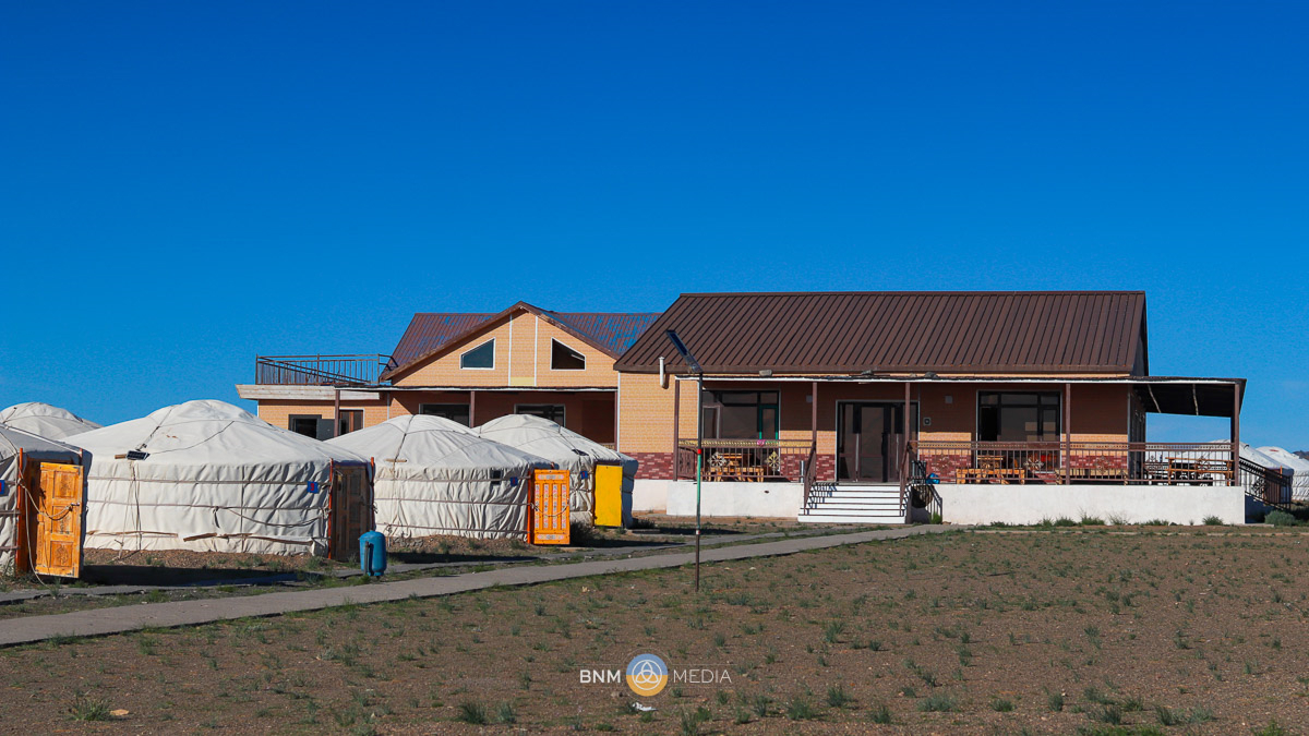 Gobi Oasis